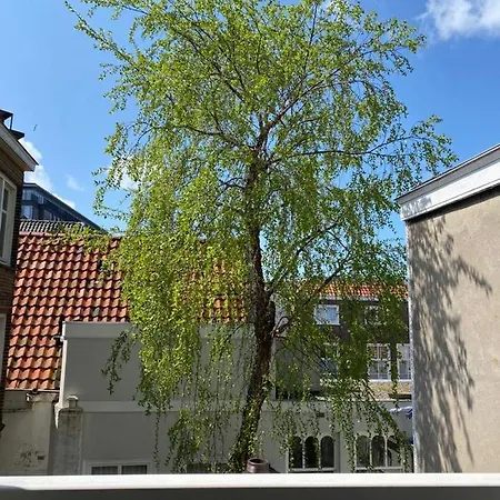 The Sunny - R.q.c. 海牙