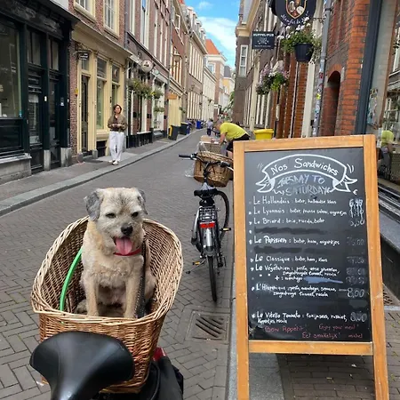 The Sunny - R.q.c. Apartamento Haia