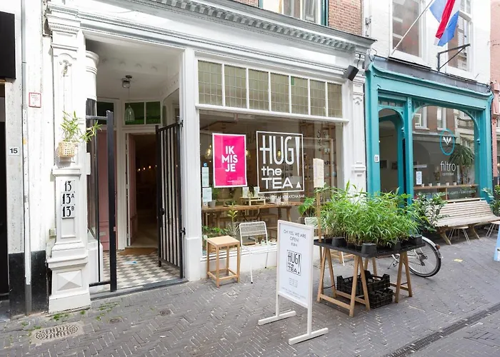 The Sunny - R.q.c. *