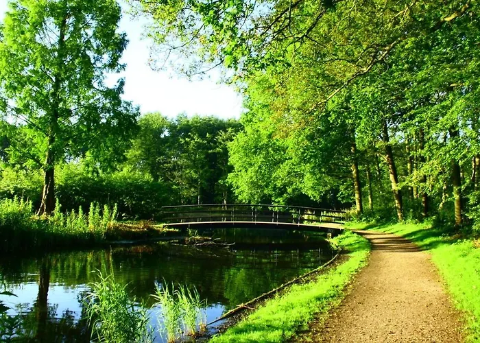 The Sunny - R.q.c. Διαμέρισμα