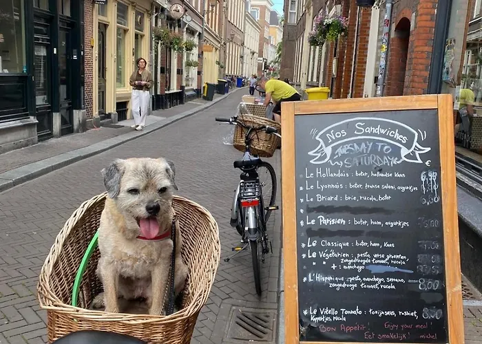 The Sunny - R.q.c. Διαμέρισμα Χάγη