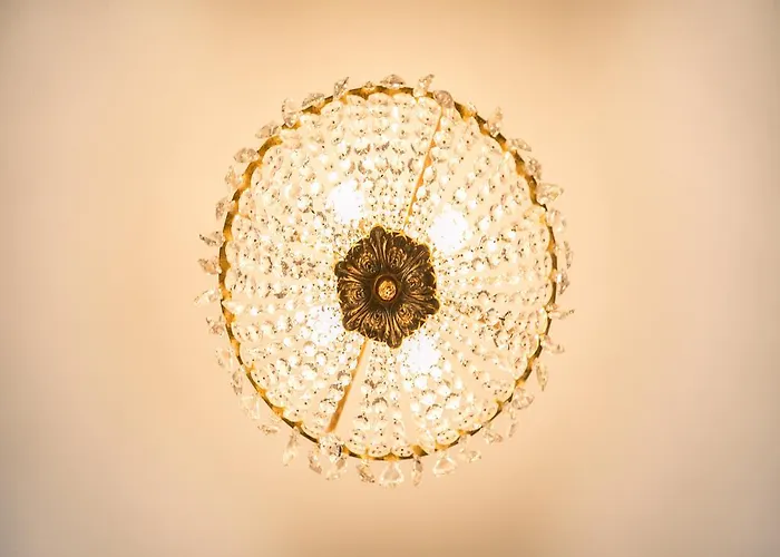 The Sunny - R.q.c. Χάγη