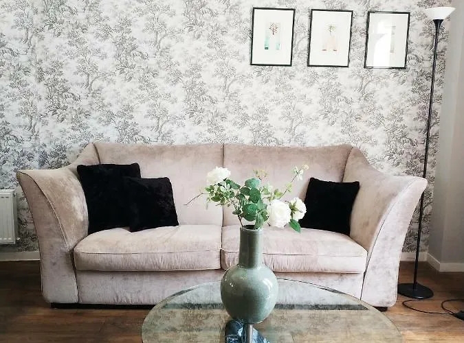 The Sunny - R.q.c. *