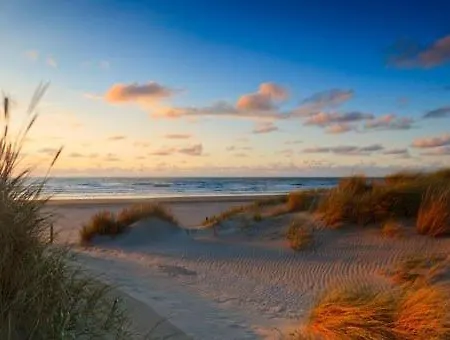 The Sunny - R.q.c. Apartment The Hague